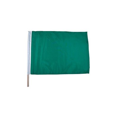 Racing Flag, Green 24" x 24"